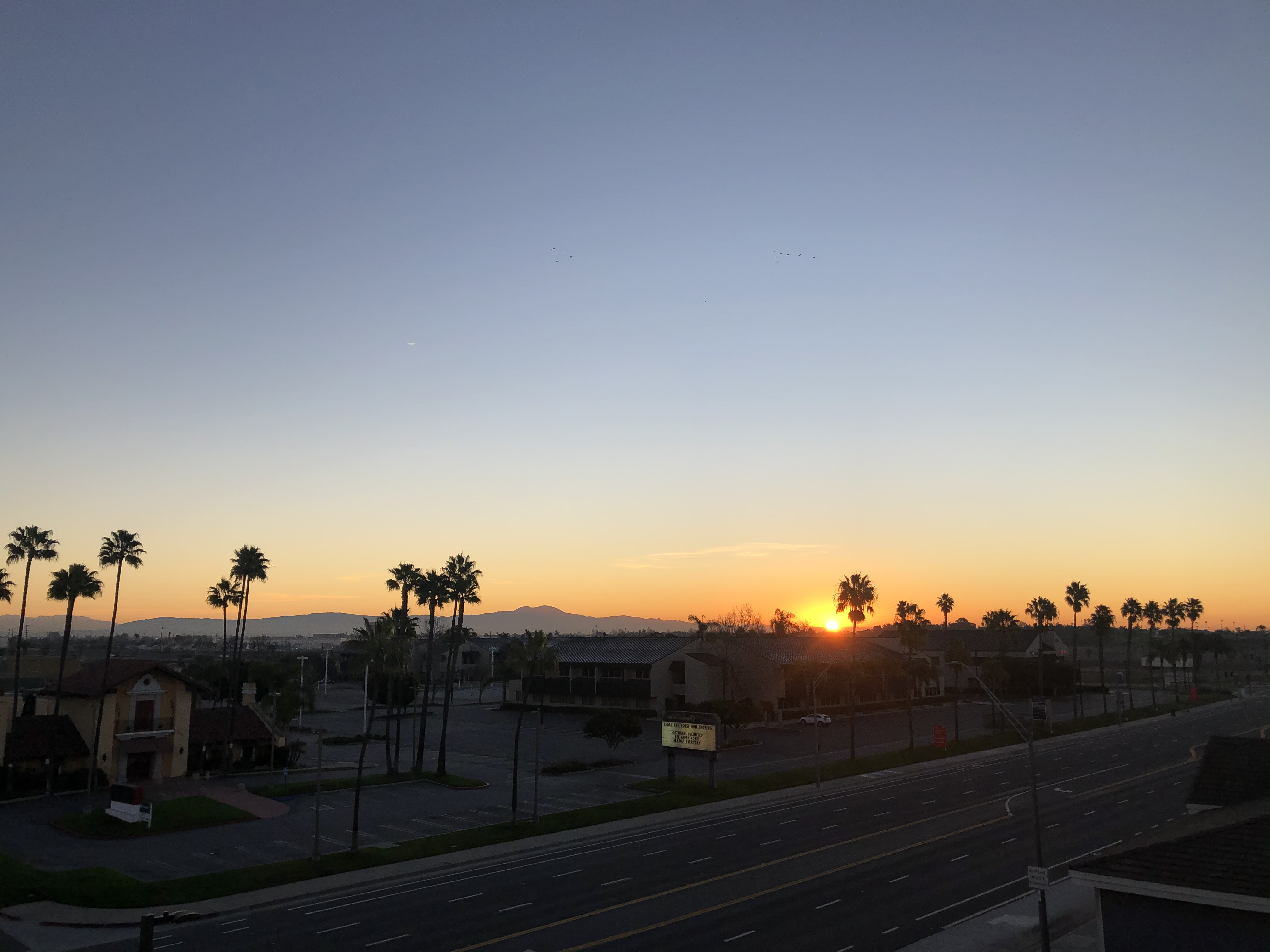 A sunrise over a quiet Long Beach on the following day. It was cold as hell during the night so I woke up at 6:00 to go get hot chocolate and watch the sunrise from a parking structure.