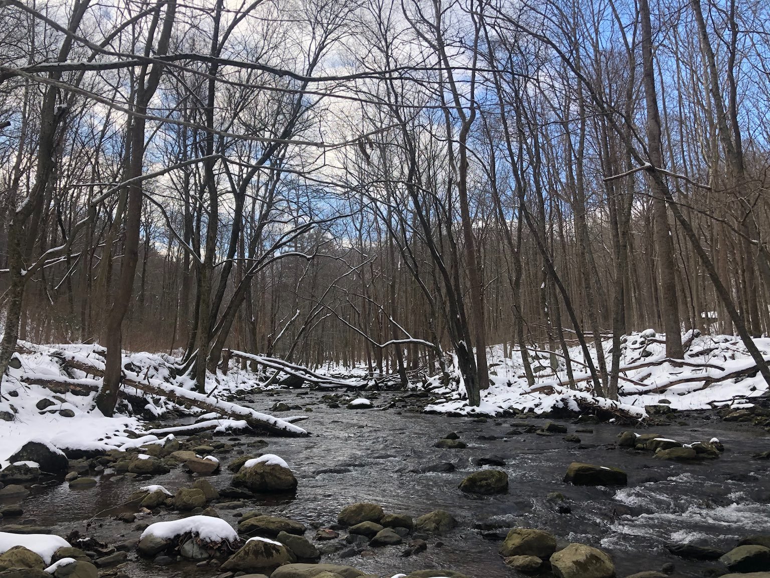 A picture I took on a hike with David Wu and Noah Singer, two friends from middle and high school. The fresh snow made up for my lack of photography skills.