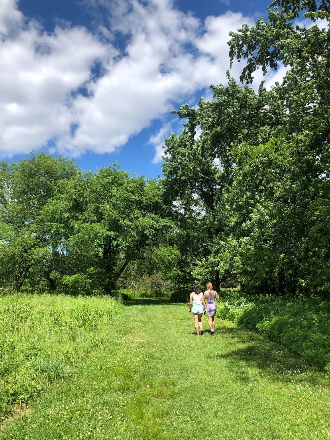 A picture of the girls walking around a school in New Jersey. They downloaded this app that directs you to an arbitrary location based on whatever you 'manifest' while using it.